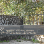 Wildlife Institute of India